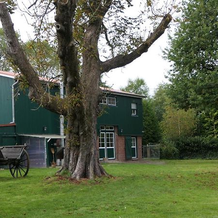 Ferienwohnung Weideglueck Osten Kültér fotó